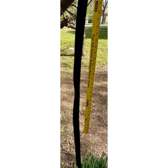 Dickies Men's Leather Silver Tone Double Prong Belt Black Size 44/110 11D10205 - Picture 6 of 6